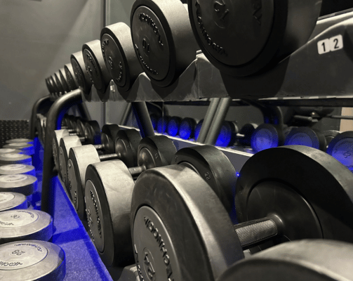 weights section